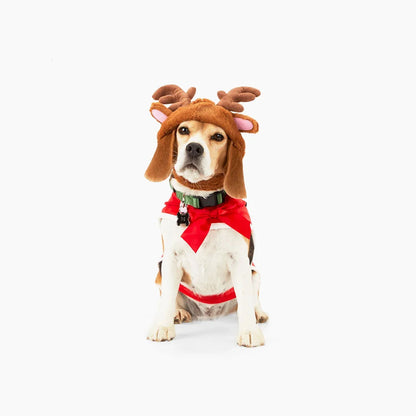 Merry Makings