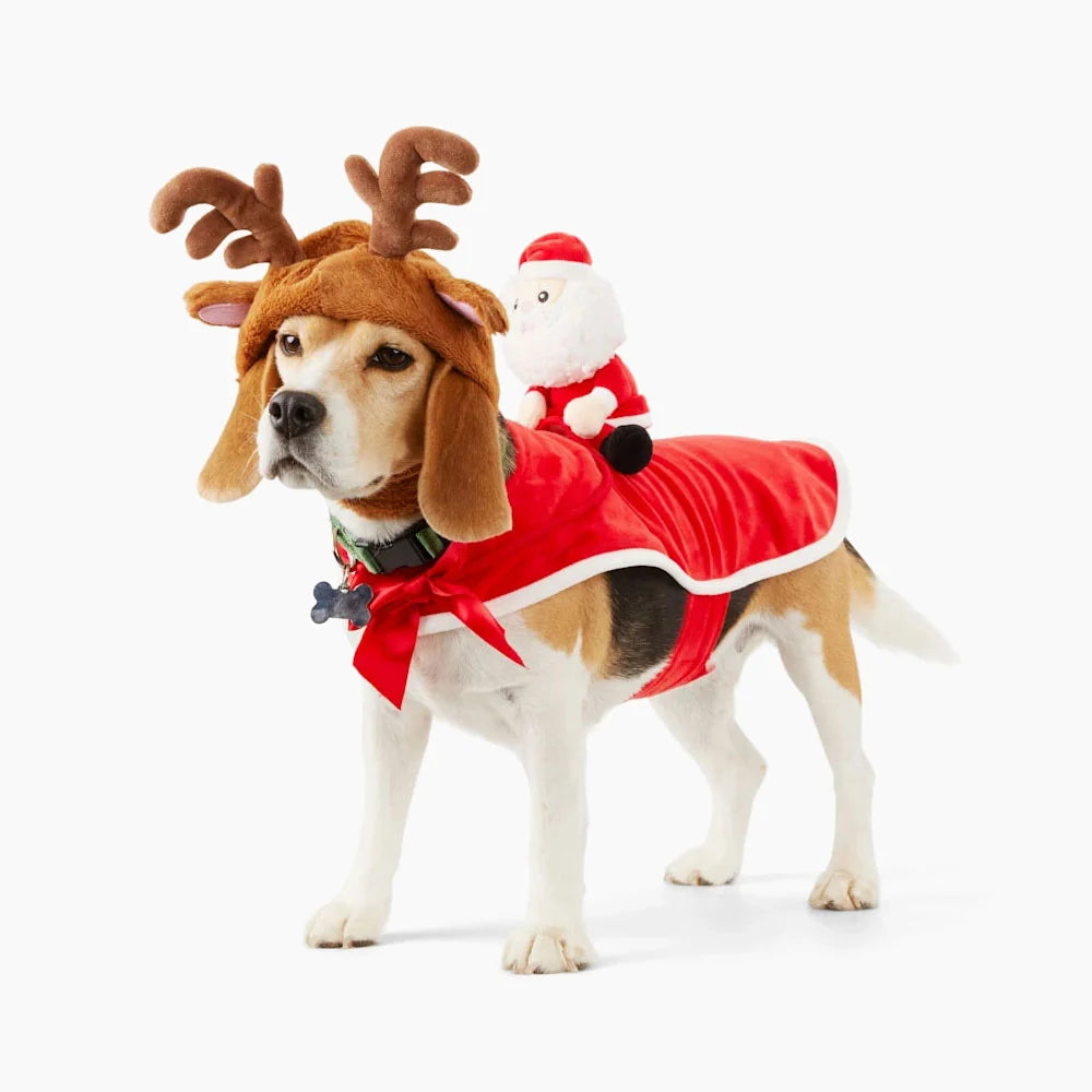 Merry Makings