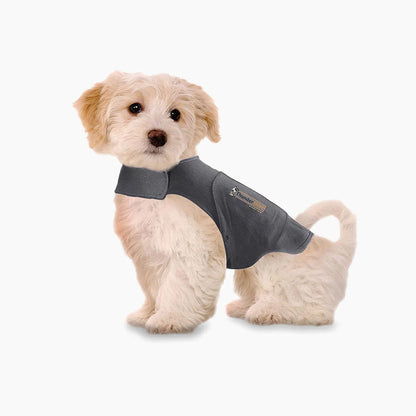 Thundershirt 1