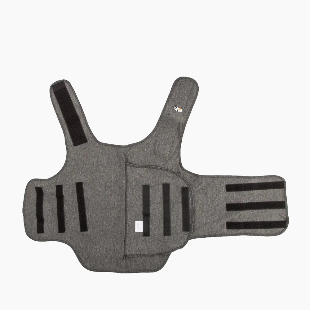 Thundershirt 1