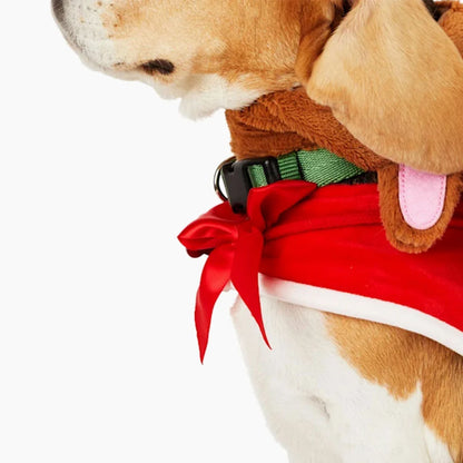 Merry Makings